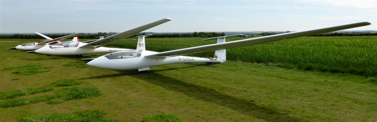 P1010562_980x350
